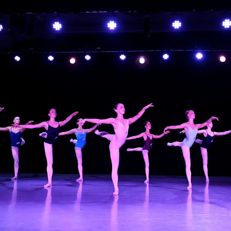 Houston Scolarship 2026